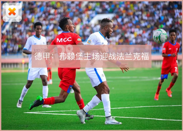 德甲：弗赖堡主场迎战法兰克福