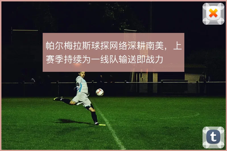 帕尔梅拉斯球探网络深耕南美，上赛季持续为一线队输送即战力